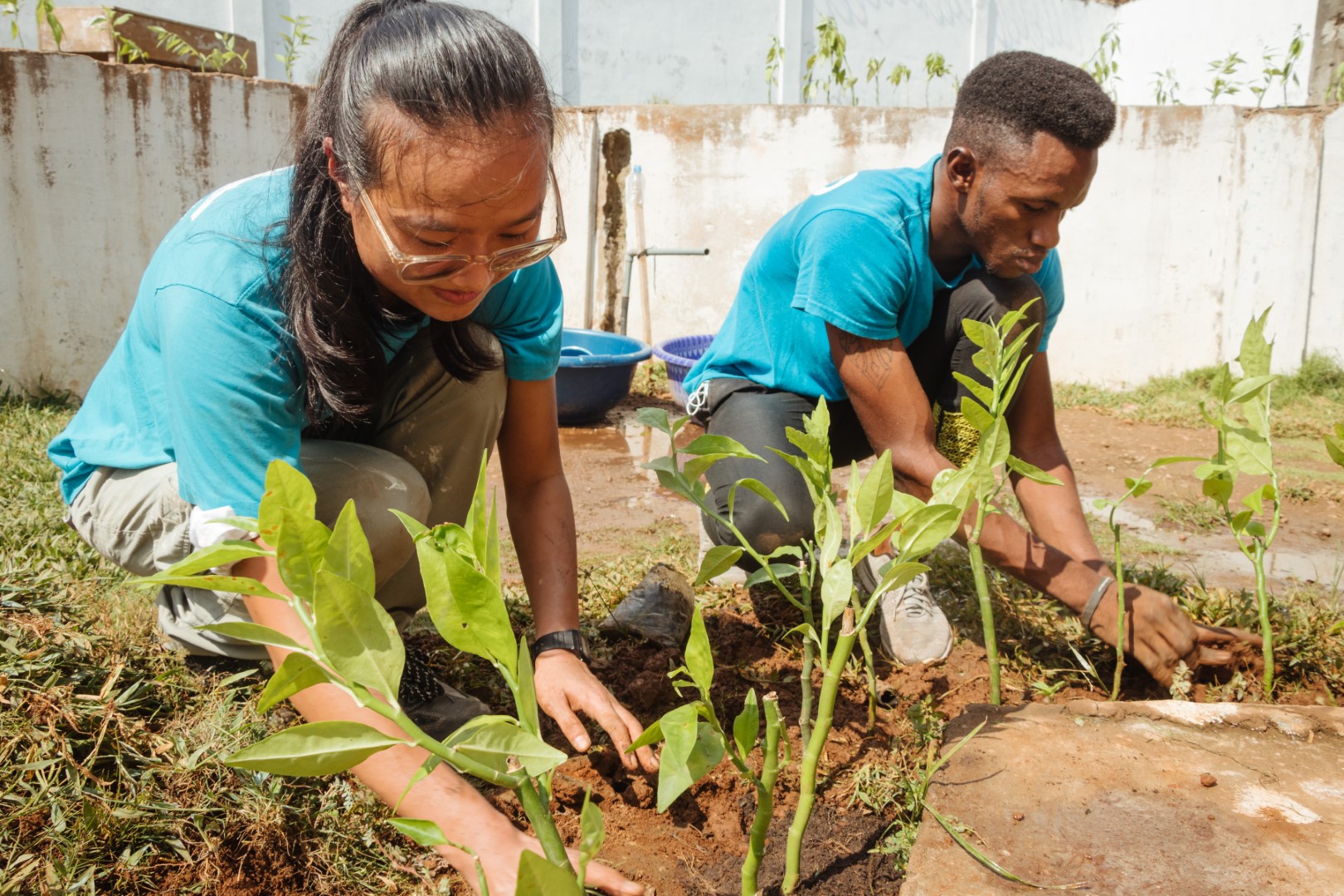 Volunteers planting vegetables.